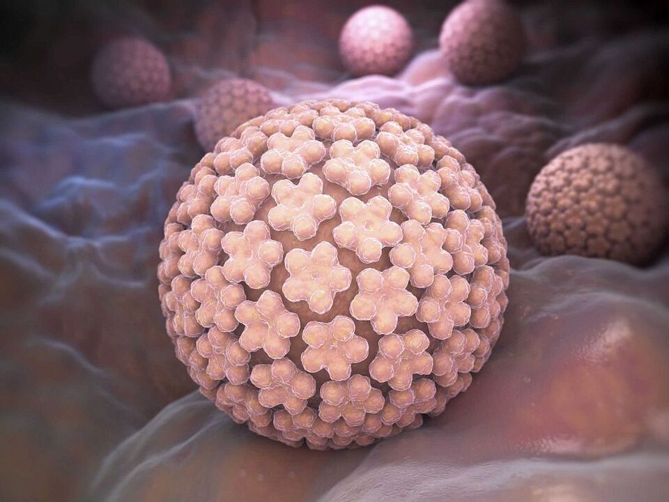 cause of HPV